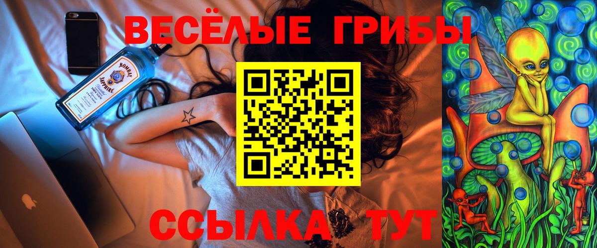 Полысаево  Псилоцибиновые грибы мицелий  Вход с VPN 