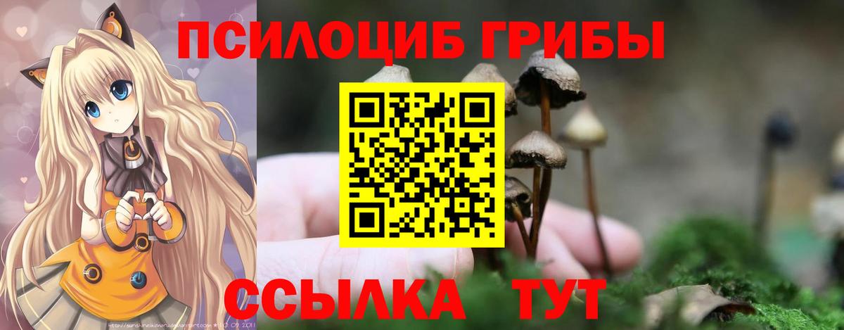 Галлюциногенные грибы MAGIC MUSHROOMS Полысаево